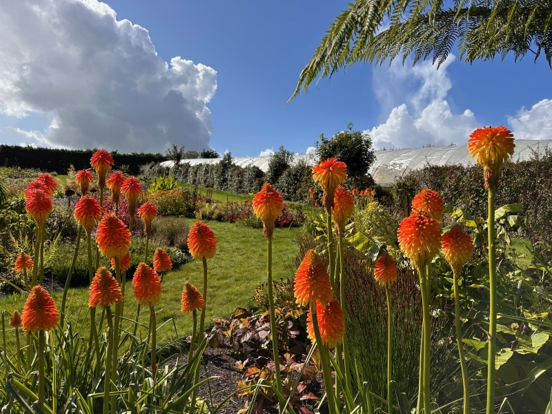 Mitchell Fruit Garden